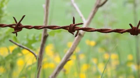 Barb wire - HD Stock Footage 21930031