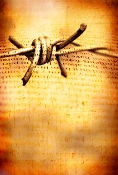 Barb wire Stock Photos