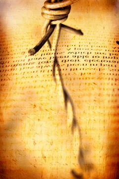 Barb wire Stock Photos