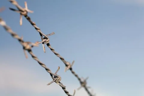 Barb wire Stock Photos