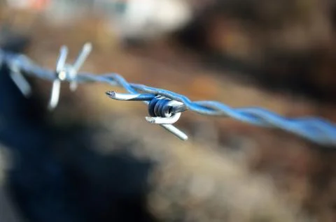 Barb wire Stock Photos