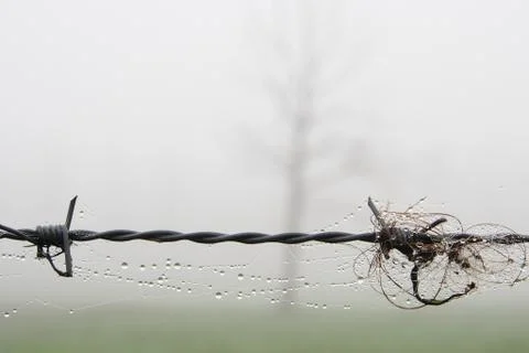 Barb wire Foto stock