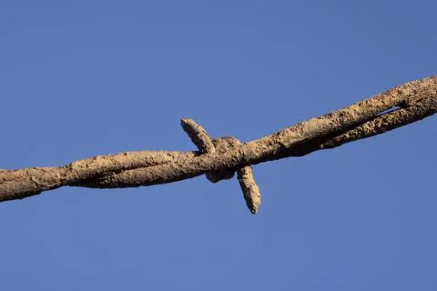 Barb Wire Stock Photos