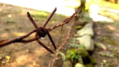 Barb wire Stock Photos