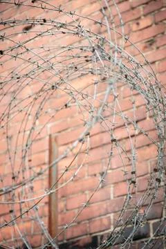 Barb wire with red brick wall in background Stock Photos