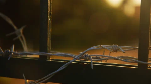 Barb wire on steel gate of old masion sunset back light. Stock Footage 48722347