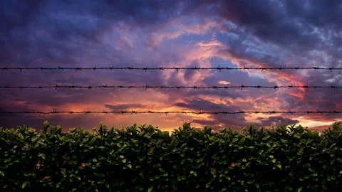 Barb Wire Sunset Stock Footage 153172637