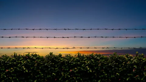 Barb Wire Sunset Stock Footage 153172651