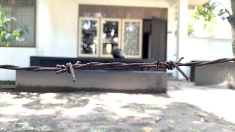 Barb wired Stock Photos