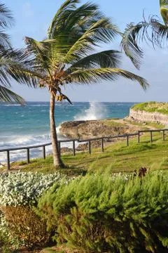 Barbadian surf Stock Photos