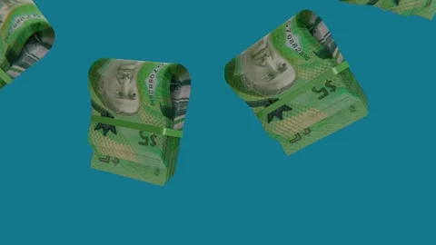Barbados 5 Dollar Dollar 库存影片 346546926