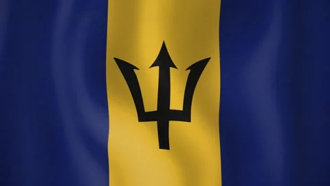 Barbados animated flag. Seamless loop. 4K Stock Footage 145426283
