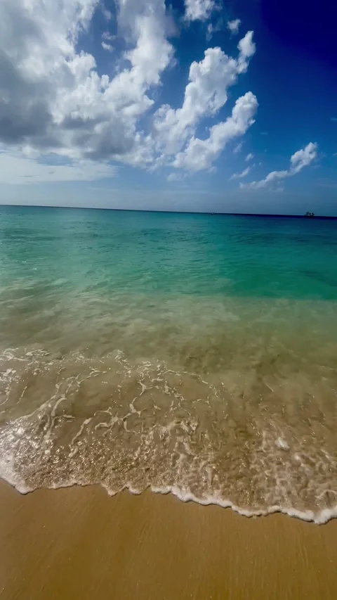 Barbados beach day Stock Footage 291469083