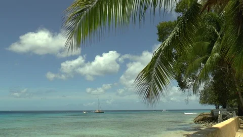Barbados Beach Stock Footage 106518917