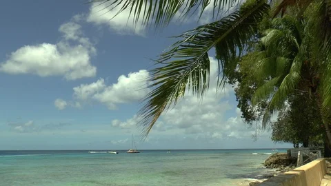 Barbados Beach Scenic View Stock Footage 106518639