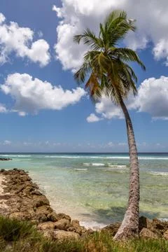 A Barbados Beach View Stock Photos