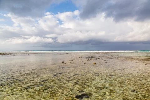 A Barbados Beach View Stock Photos