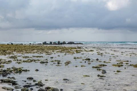 A Barbados Beach View Stock Photos