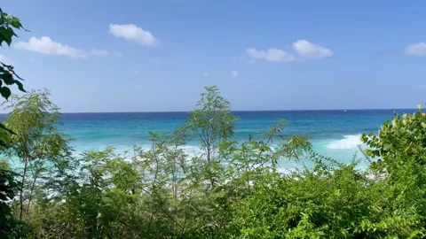 Barbados beach views Stock Footage 291427298
