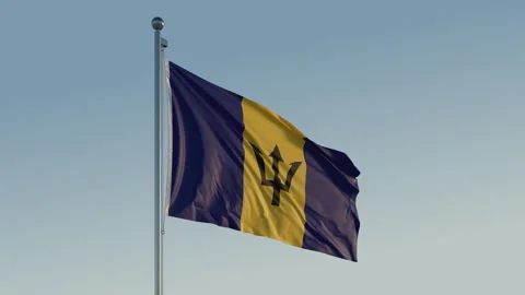 Barbados Bridgetown Flag loop Cinematic Realistic Waving Blue Sky 스톡 동영상 303207761