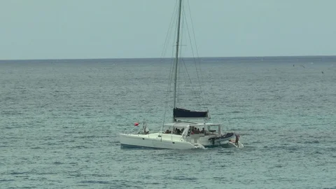 Barbados Catamaran Stock Footage 106401404