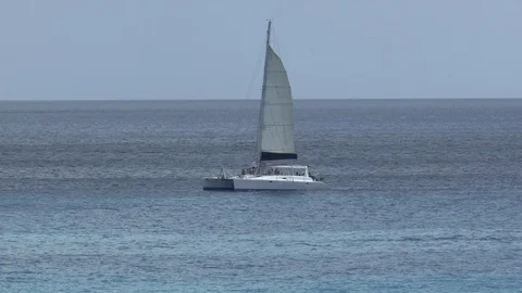 Barbados Catamaran Stock Footage 108059808