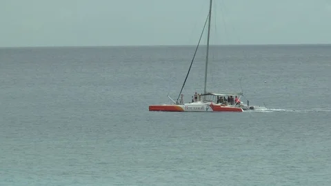 Barbados Catamaran Sailing Stock Footage 108060014