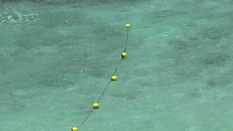 Barbados Clear Pure Sea Stock Footage 106574420