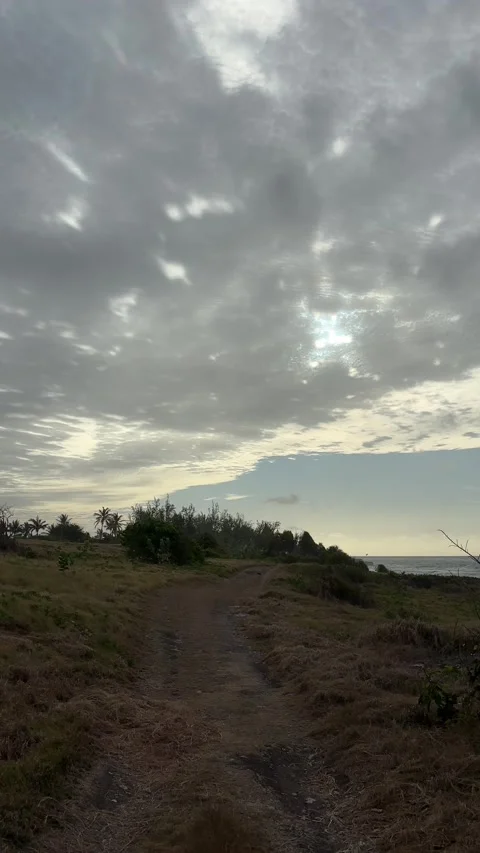 Barbados Coastal Trail at Sunrise With Dramatic Cloudy Sky Stock Footage 337109441