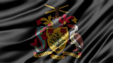 Barbados coat of arms displayed on a soft black waving fabric texture Stock Footage 343555659