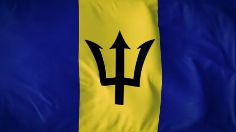 BARBADOS COUNTRY FLAG Stock Footage 282299286