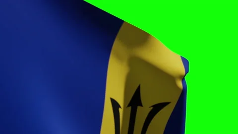 Barbados Flag Close Stock Footage 133539800