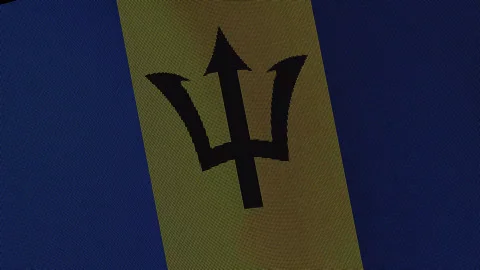Barbados Flag Digital Particle Waving Seamless Loop Animation on Black Back.. Stock Footage 339302041