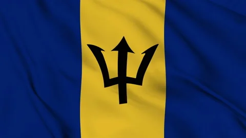 Barbados flag fluttering in the wind Stock Footage 139654601