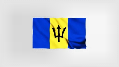 Barbados flag fluttering in the wind Stock Footage 305811495