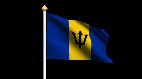 Barbados flag Video stock 562629