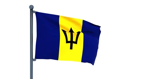 Barbados Flag Stock Footage 150195371
