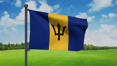 Barbados Flag Video stock 151861601