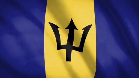 Barbados Flag  Video stock 188097835