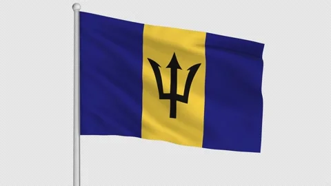 Barbados Flag Stock Footage 219544475