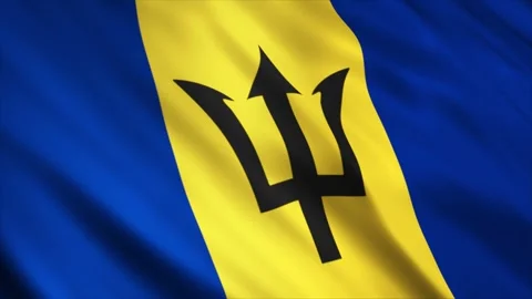 Barbados Flag Stock Footage 249031323