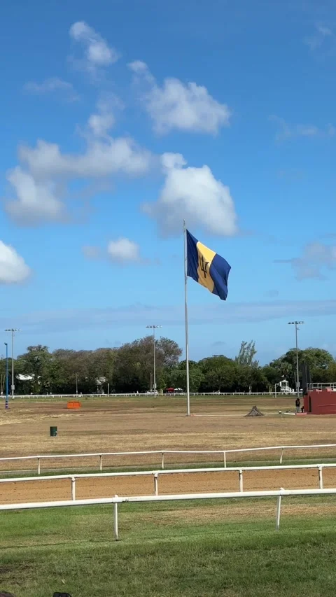 The Barbados flag Vídeo Stock 304753355