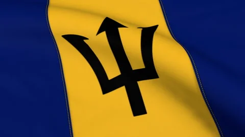 Barbados Flag Loop Stock Footage 241176131