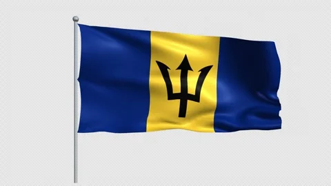 Barbados flag - Pack 1 Stock Footage 340236347