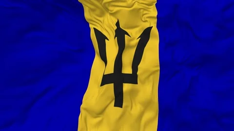 Barbados Flag Seamless Looping Background Waving Slow Motion Stock Footage 233882269