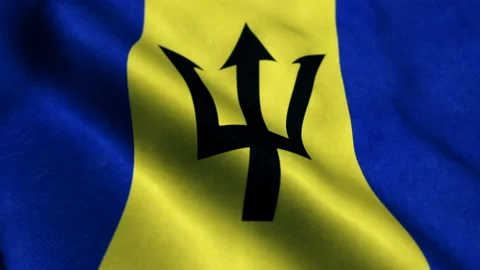 Barbados Flag - Seamless Looping 库存影片 206152750