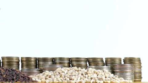 Barbados flag with stack of money coins and piles of wheat and rice seeds Stock Footage 71134631
