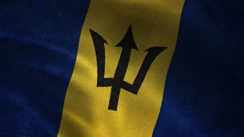 Barbados flag waving closeup with black trident on blue and gold stripes, seamle Video stock 339548063