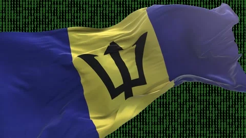 Barbados flag - Waving flag on matrix binary code background Stock Footage 321420866