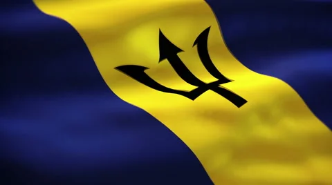 Barbados flag waving Stock Footage 55494834